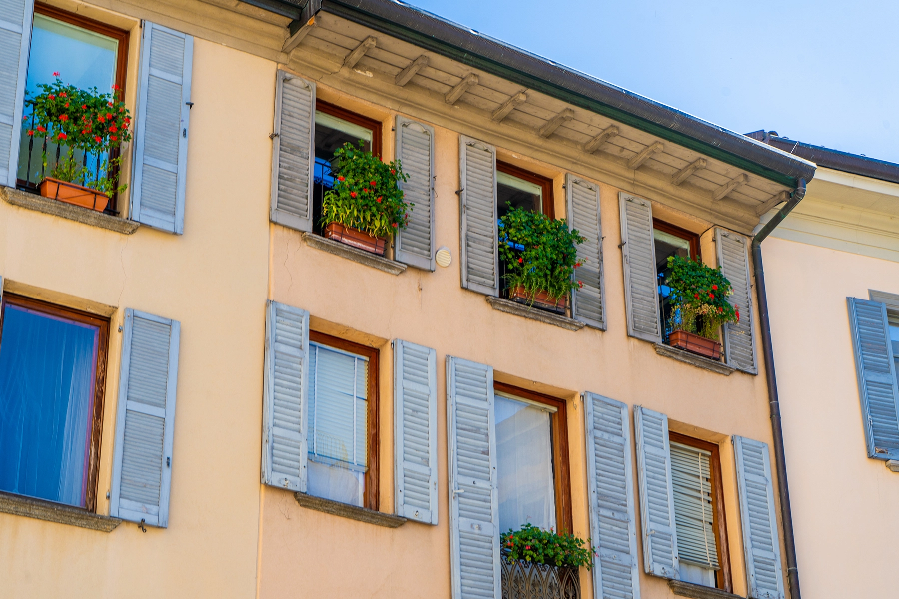 Façade méditerranéenne — spécificités locales de Nice
